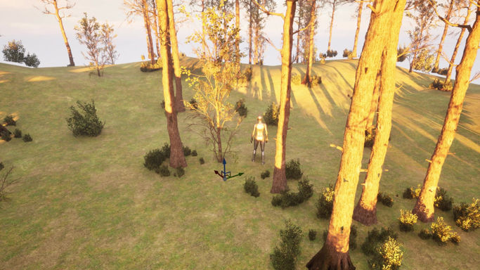 Procedural Content Generation